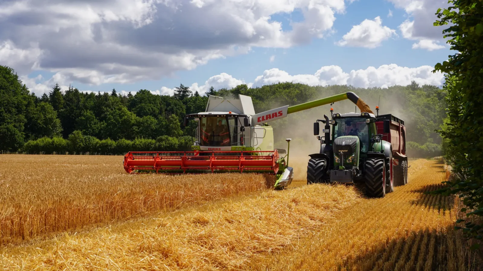 Українська молочна продукція на міжнародних ринках
